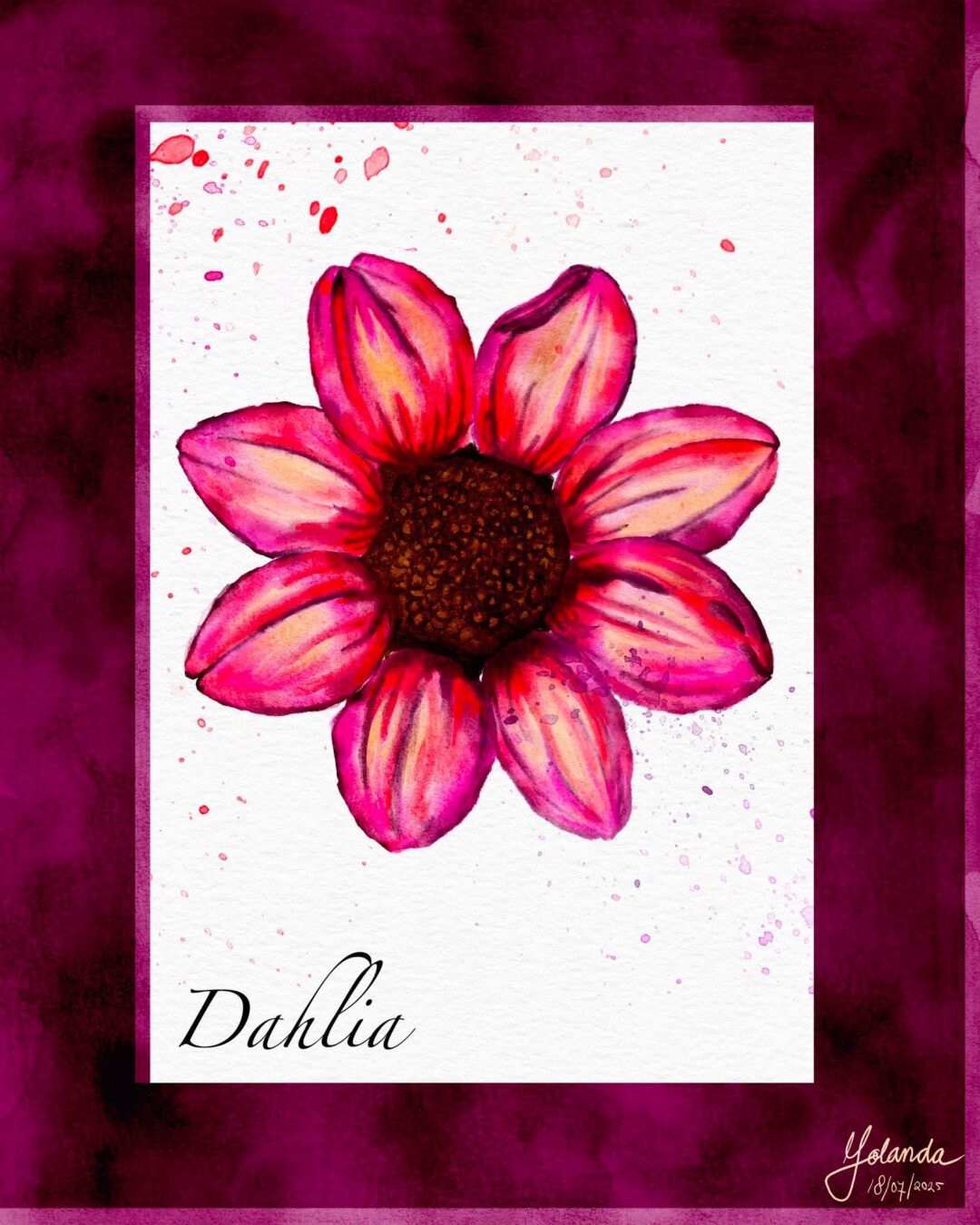 Roze Dahlia met een donker bloemhart, op een witte achtergrond met een donkerroze omlijsting.