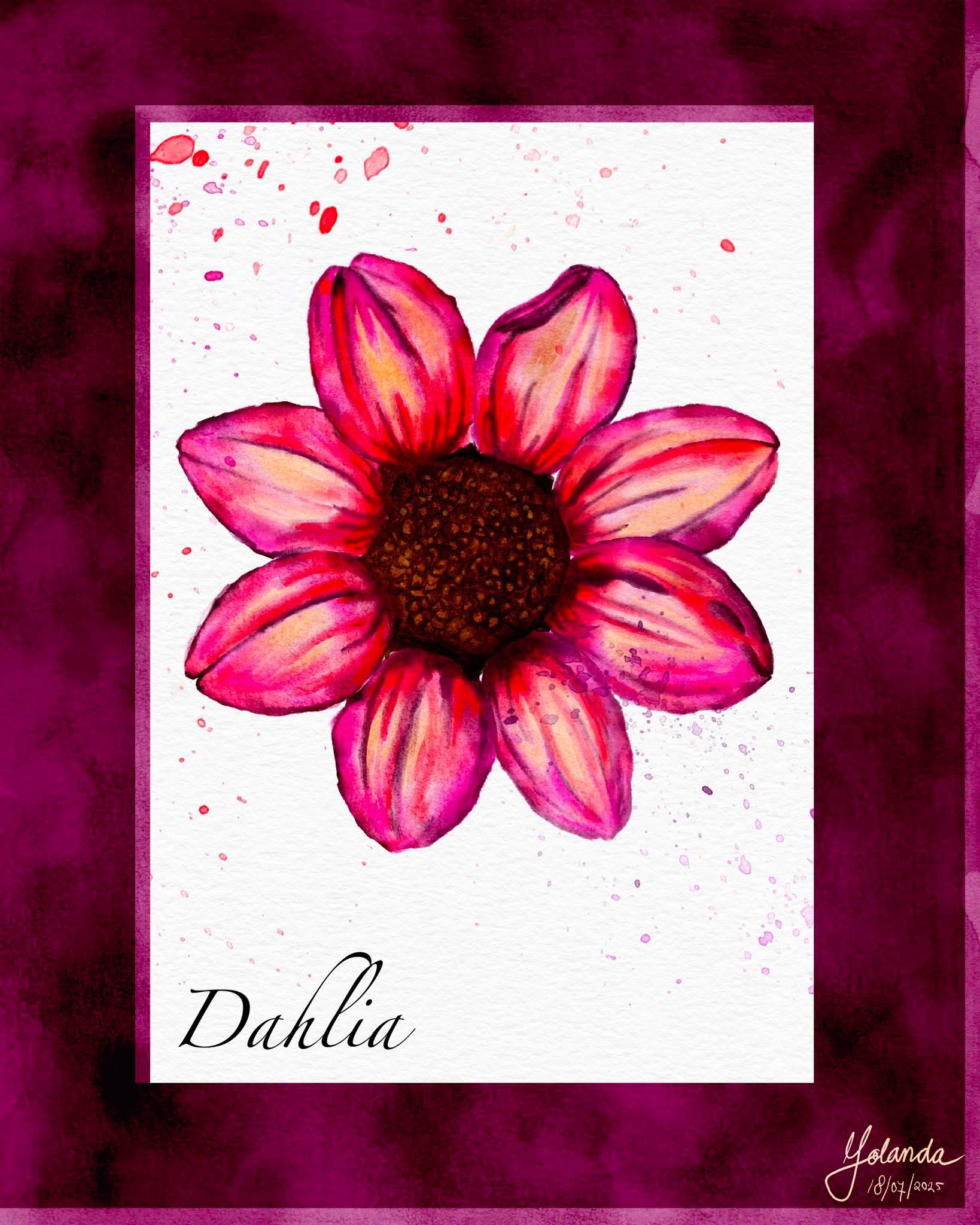 Het is een Dahlia
