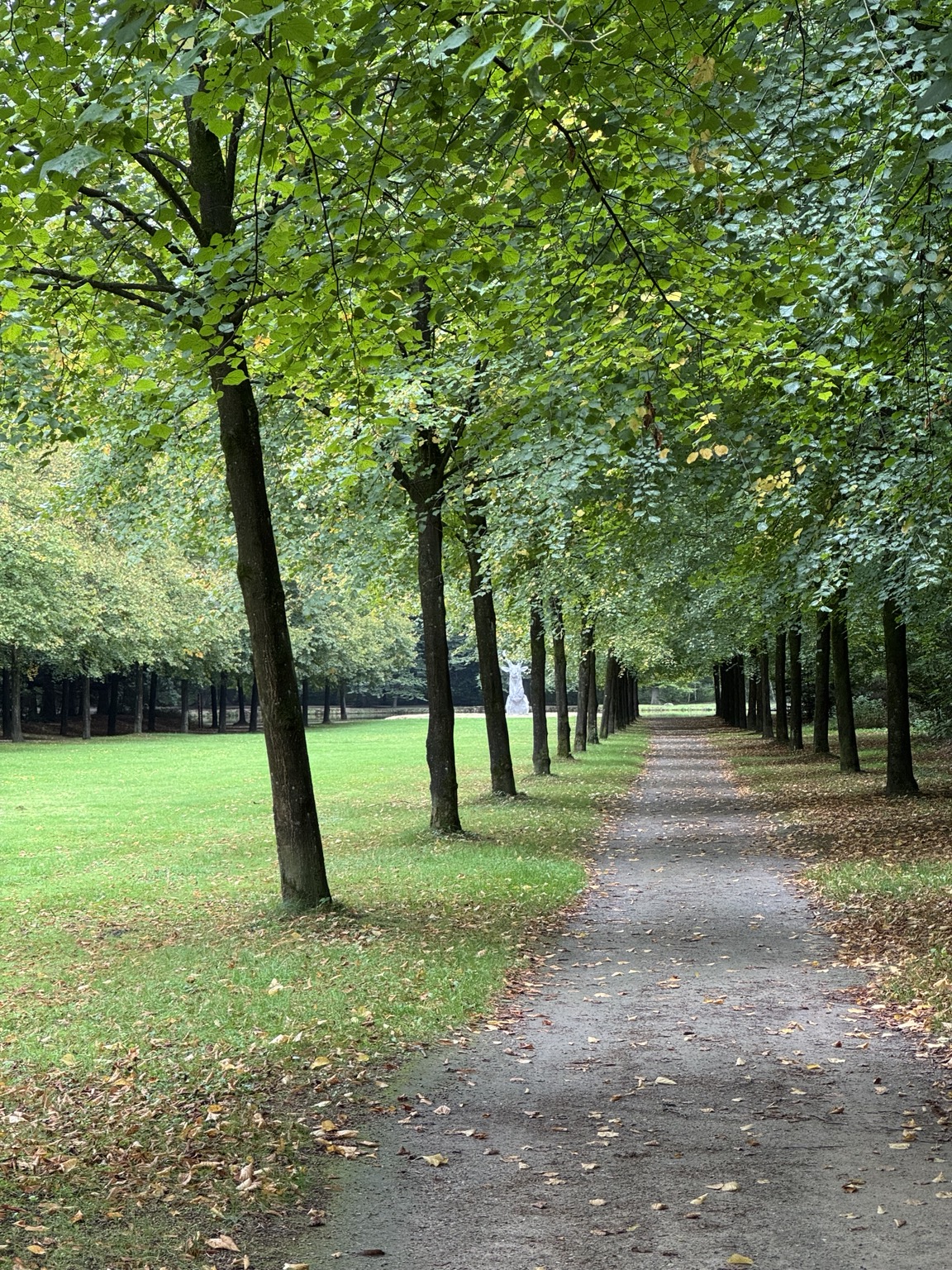 Rechte wandelpaden en bomenrijen in het park van Schloss Clemenswerth
