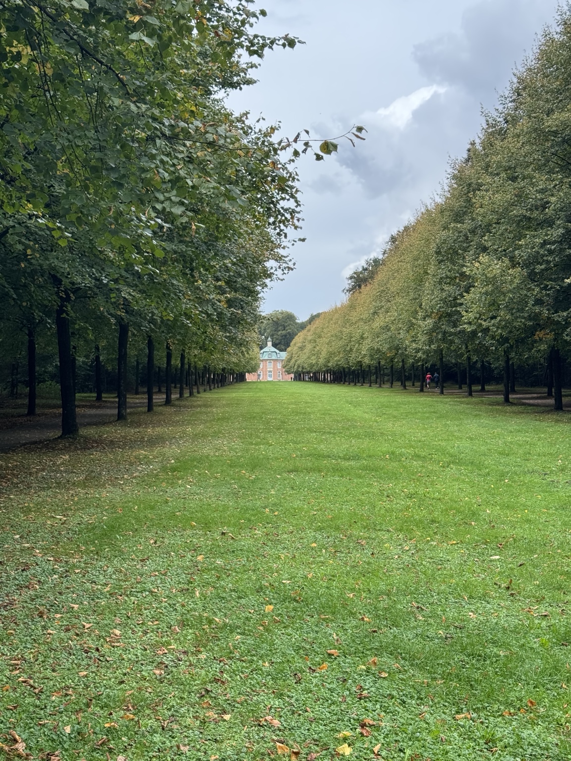 Schloss Clemenswerth aan het einde van een lange laan met bomen en gras